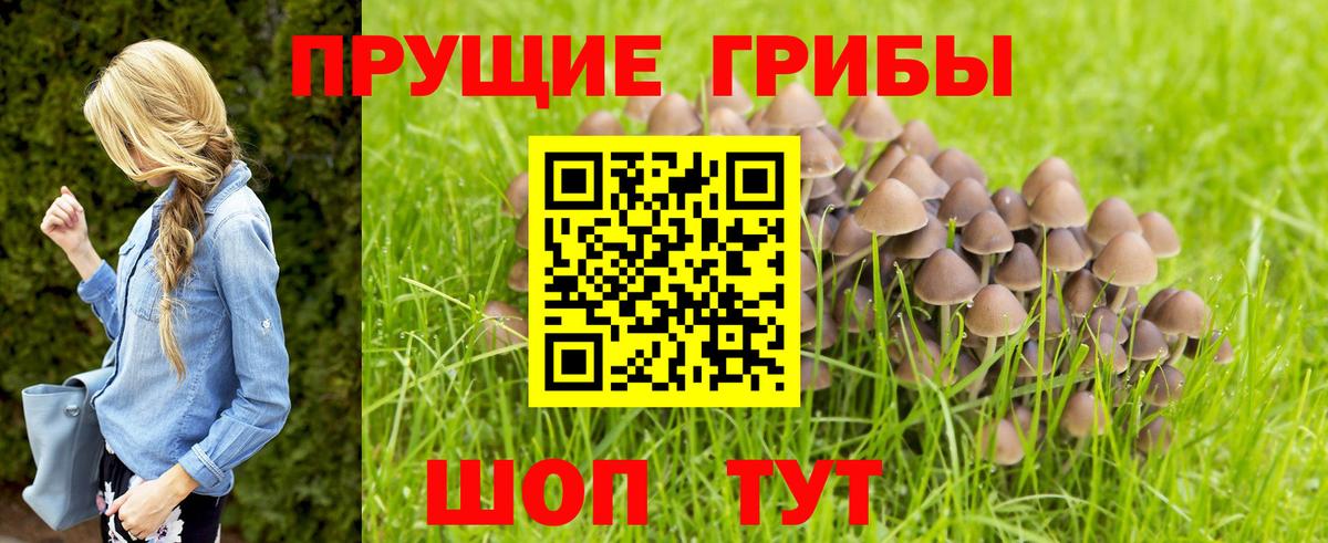 Псилоцибиновые грибы Magic Shrooms Новоалександровск