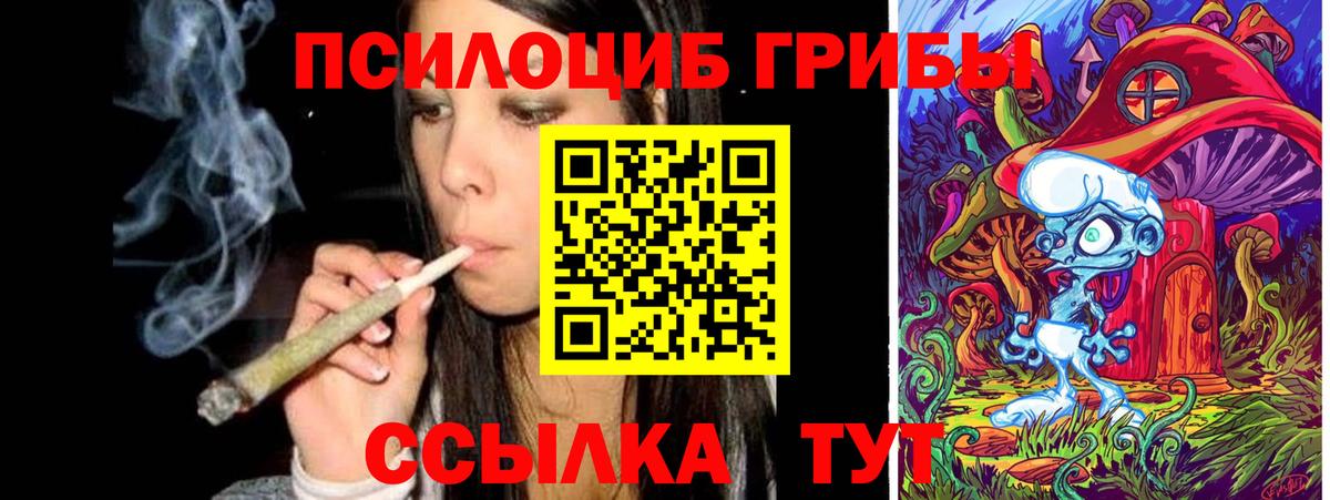 Новоалександровск  Галлюциногенные грибы прущие грибы  Вход с VPN 